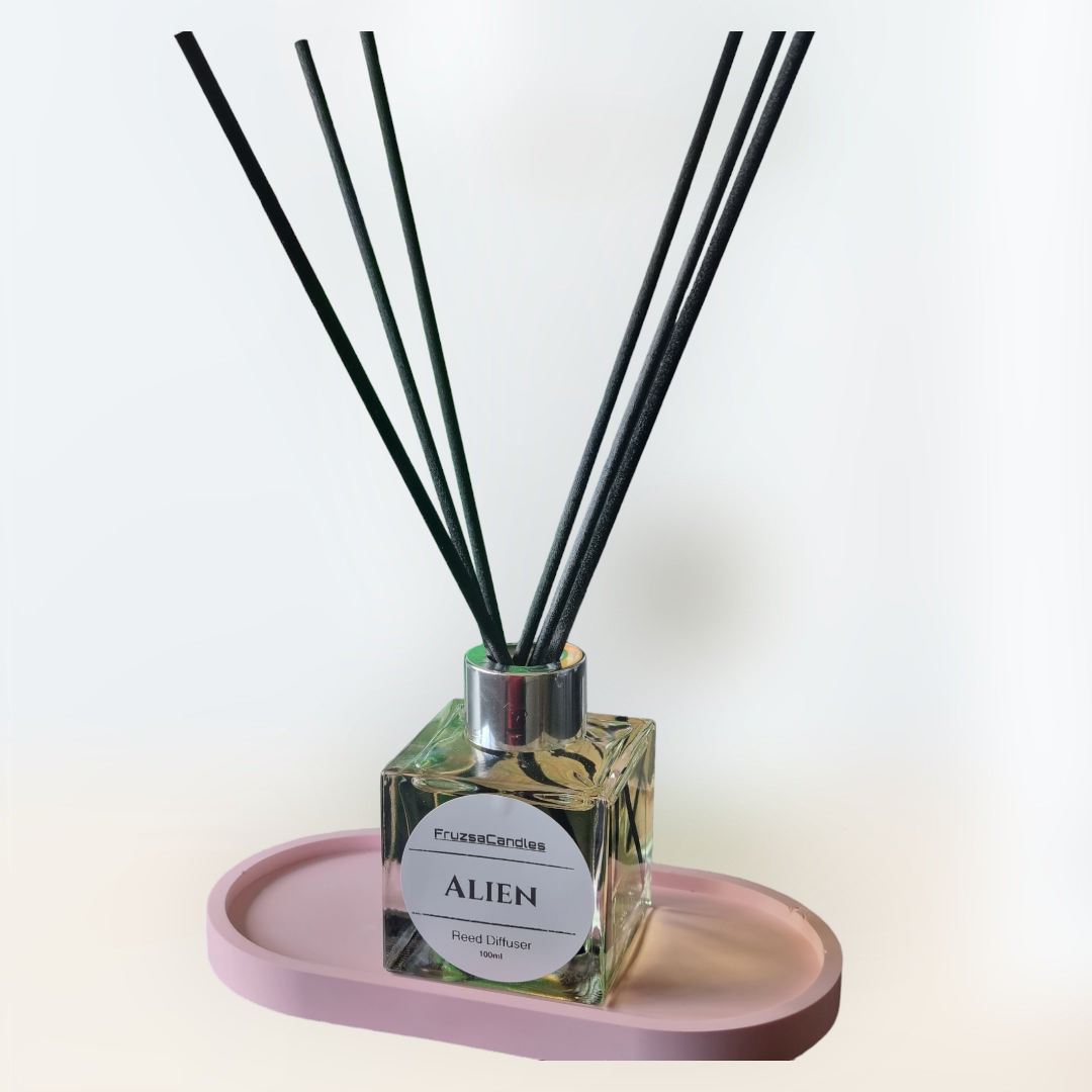 Alien scented Reed Diffuser/Perfume inspired diffuser/100ml