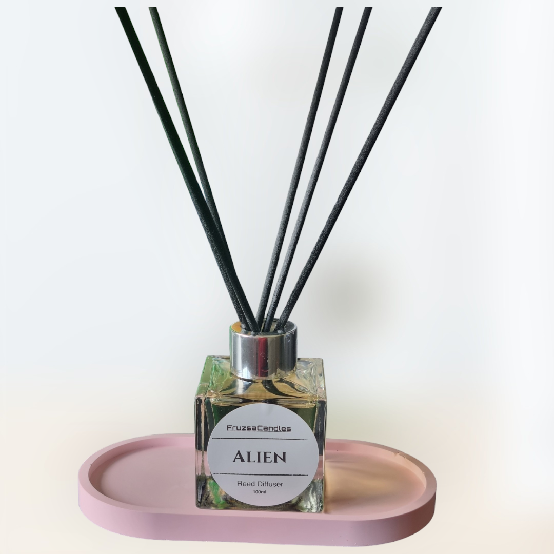 Alien scented Reed Diffuser/Perfume inspired diffuser/100ml