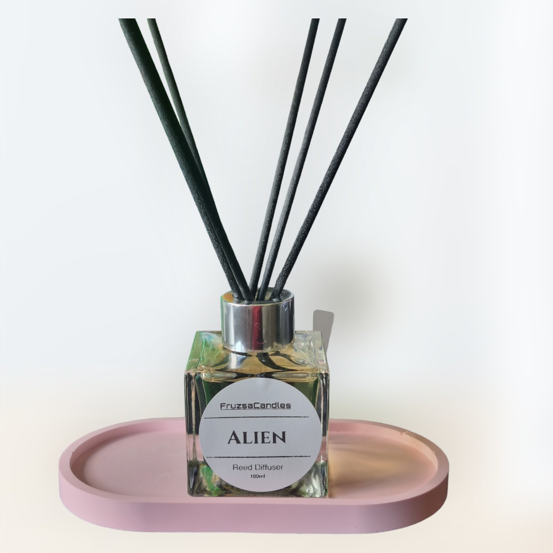 Alien scented Reed Diffuser/Perfume inspired diffuser/100ml