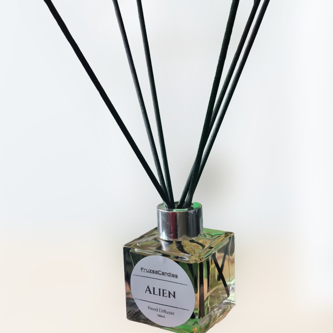 Alien scented Reed Diffuser/Perfume inspired diffuser/100ml