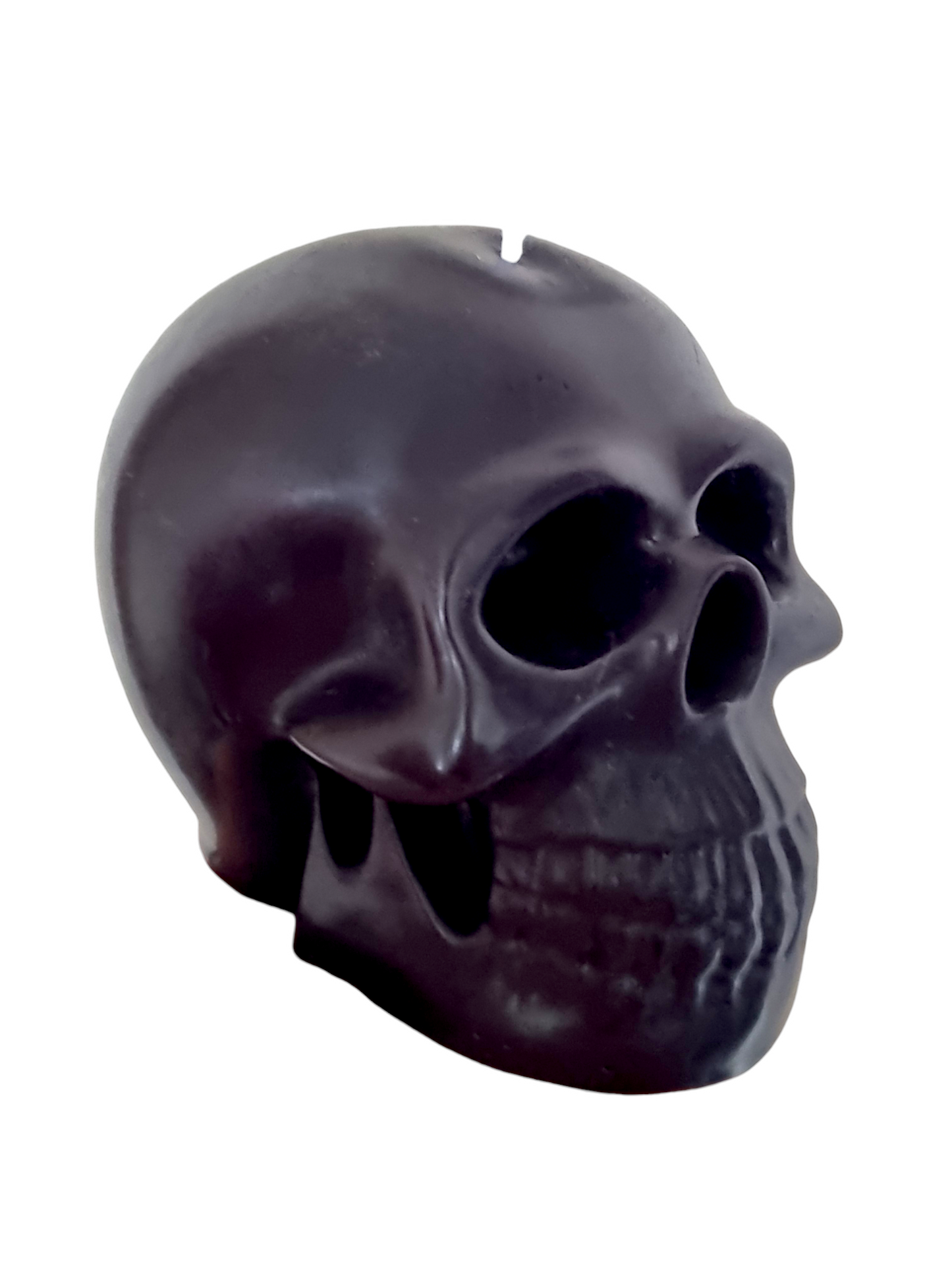 Anatomical Skull Candle/Halloween Candle