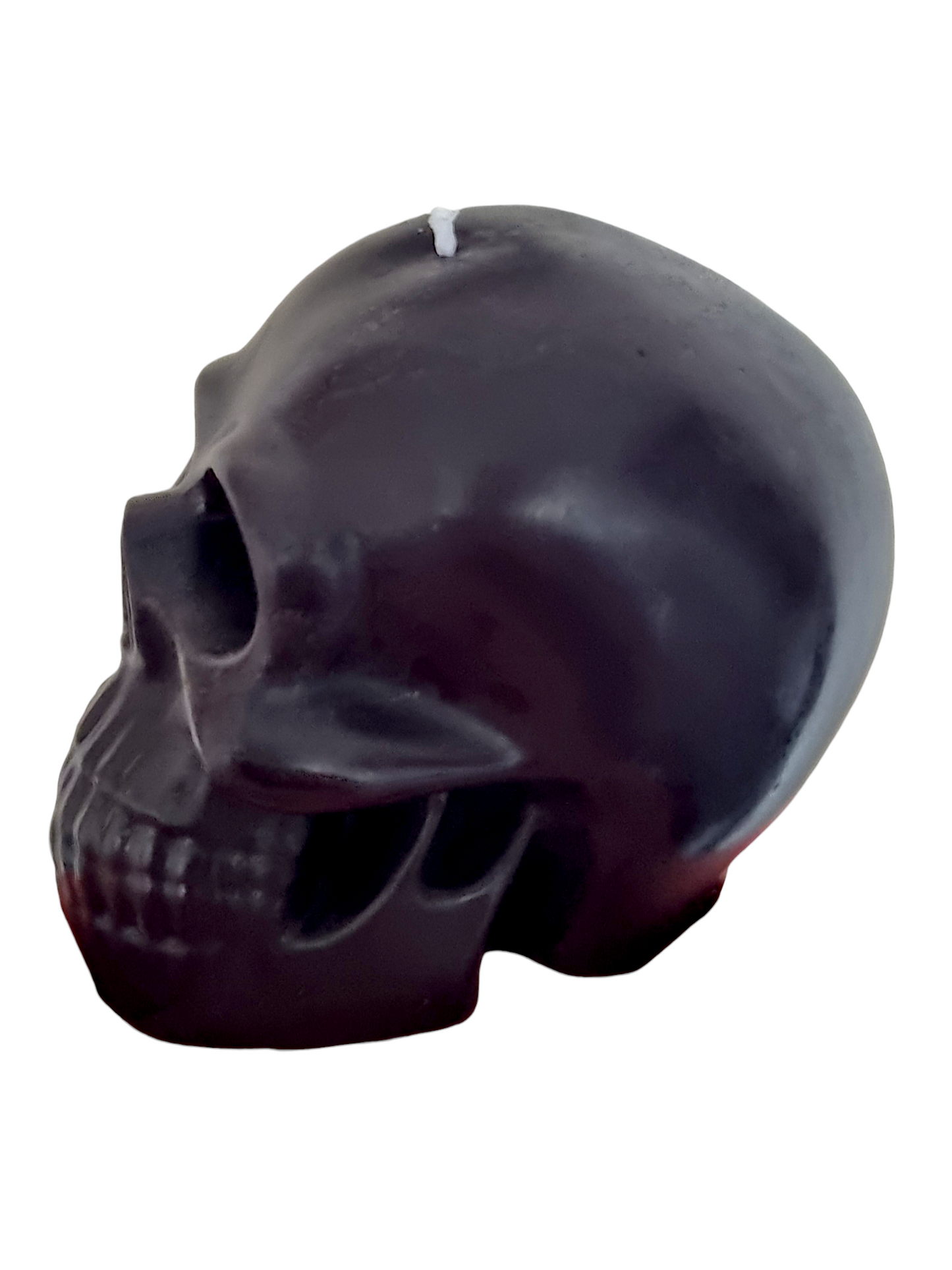 Anatomical Skull Candle/Halloween Candle